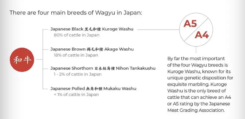 Four main breeds of Wagyu. Japanese black, brown, shorthorn and polled. Kuroge Washu is the most important.
