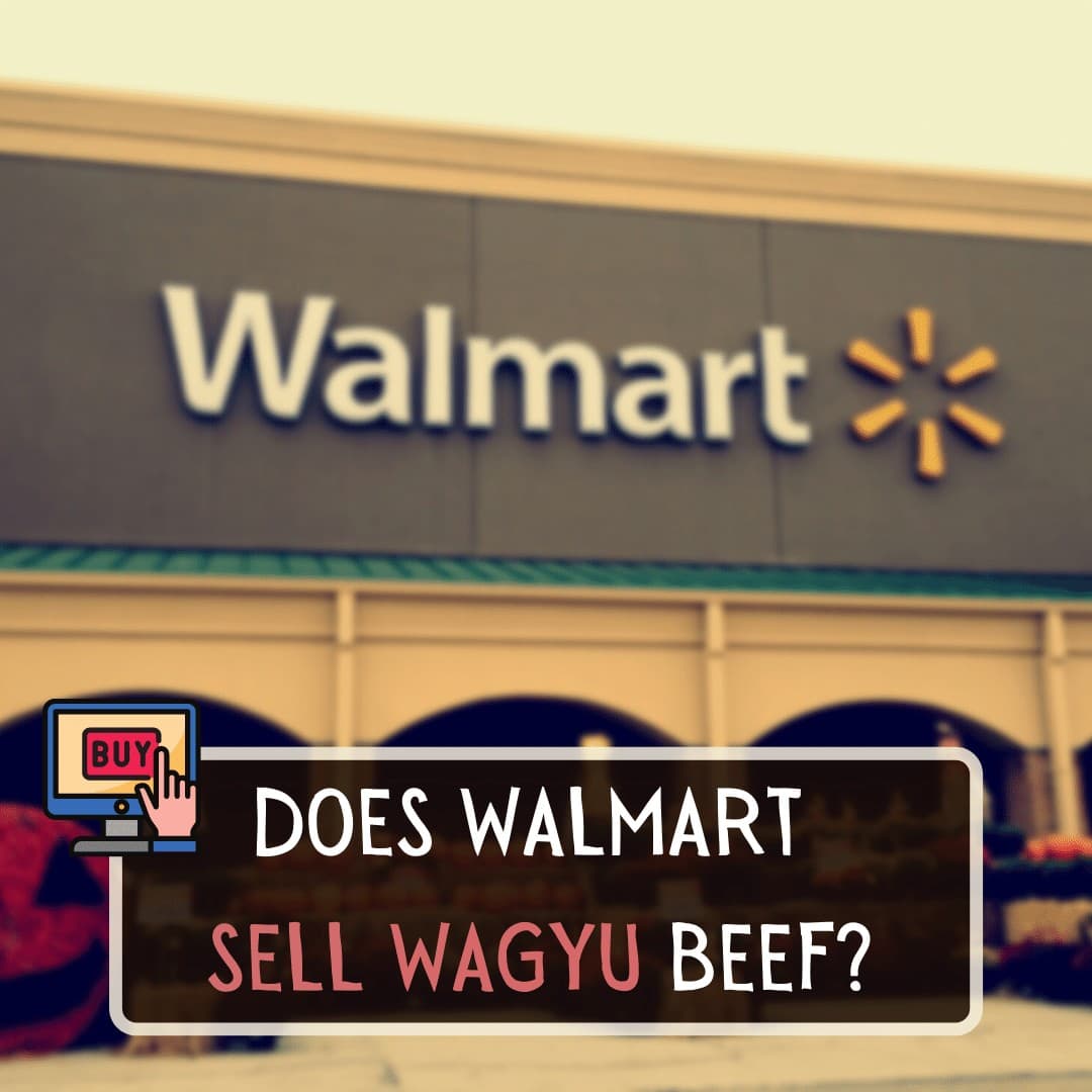 Does Walmart sell Wagyu beef Yes, Walmart does sell Wagyu beef in the form of Wagyu beef patties, Wagyu Strip Steak, and also Wagyu Beef Ribeye Steak. However, this will be subject to availability and Wagyu may not be offered in every store across the country. You may be limited to what sorts of Wagyu cuts or products you can buy at Walmart, or they may not even sell them at your local store. If you’re looking for some premium cuts, then one of the best places to find some amazing ragu is at CrowdCow, we’d recommend the Filet Mignon Wagyu which is so unbelievably juicy and is such a treat to enjoy on the weekend. Where does Walmart get their Wagyu beef Most of Walmart's Wagyu beef products are labeled as ‘American Wagyu’ so presumably, their meat is coming from American cattle farms and not Japan. The prices of the Walmart Wagyu products are notably not as high as traditional Japanese Wagyu, which is an immediate clue that the Wagyu is not genuine Wagyu from Japan. Walmart’s Wagyu beef will be from Wagyu beef cattle but it will have been raised and cut on US farms. The more inexpensive Wagyu products will not be premium cuts hence why the price is so much more affordable than Japanese Wagyu. Is Walmart Wagyu real No, Walmart Wagyu is not real Japanese Wagyu. They breed Wagyu cattle with American cattle as Wagyu only needs around 46% Wagyu genetics to be sold as Wagyu in a retail store. So even though you’re getting a good deal on your American Wagyu, you’ll need to bear in mind that it is only really half Wagyu and half Angus or whatever other cattle they use to breed with. So they may be using real Wagyu cattle to breed with American cattle, the chances of the Walmart Wagyu being 100% real is very slim. If you want to be guaranteed incredibly quality American Wagyu beef, then one of the best places to go is Snake River Farms, they have a wide selection of American Wagyu cuts and they’re available in a variety of portion sizes to suit whatever occasion you’re cooking for. These cuts may be slightly more expensive than Walmart, however, the quality is exceptional and there really is no comparison. How much is Wagyu beef in Walmart Wagyu beef in Walmart will vary in price depending on what kind of cut and portion size you’re buying. Meat is normally priced by weight, so the heavier the cut and the more premium the cut, the more expensive it will be. Walmart’s American Wagyu Beef Patties are priced just under $5 for 16oz of meat, which contains 3 individual patties. The average price of a Walmart’s Marketside Butcher Wagyu Beef NY Strip Steak is around $18, but this will increase or decrease depending on the weight of the portion. One Walmart Wagyu Ribeye Steak has an average price of just under $20. You may be lucky to get some really good deals on the Wagyu beef sold in Walmart and they are pretty good quality, however, we’d recommend going to a butcher’s or a specialized Wagyu retailer to get premium cuts as you’ll get great value for the quality you’re getting. Which supermarkets sell Wagyu Most supermarkets in the US sell some form of Wagyu beef product and this is the quickest and easiest way to get hold of the well-loved meat. You may be able to find Wagyu products in the general meat aisle, frozen section, or at the designated butcher’s counter in your local supermarket. The most popular supermarkets like Whole Foods, Meijer, and Trader Joe’s all have a variety of Wagyu products in their stores. However, online meat retailers have become increasingly popular nowadays, especially with Wagyu becoming so popular, Crowd Cow and Snake River Farms are only two of many online meat retailers and they supply some top-of-the-line premium cuts of Wagyu. People are willing to pay more money on premium cuts of Wagyu online because they already expect higher prices, whereas in supermarkets people expect to find cheaper meats and are surprised to see the extremely high prices on Wagyu products. Does Costco sell Wagyu Yes, Costco does sell Wagyu cuts and products but they are a lot more expensive than what you’ll find in your regular supermarket. They sell both American Wagyu and traditional Japanese Wagyu, so you’ll be able to find something within your price range. Costco has the Kuroge Wagyu beef, which is also better known as the Japanese black beef and has the highest ranking grade for Wagyu available - so you’ll know it’s amazing. A 6lb Japanese Wagyu Tenderloin Roast in Costco will set you back a whopping $999.99, but they do also offer some more ‘affordable’ Japanese Wagyu beef such as the Chuck Roll Bulgogi Style Slices which are sold at around $220 a pack. Needless to say, if you want amazing quality and authentic Wagyu, then you’ll have to pay the price for it. In a restaurant, you would probably pay double the price of what they sell it for in a store like Costco. How do you tell the difference between real Wagyu and fake Wagyu One of the most obvious indicators is that it is real, is that it’ll have ‘Japanese Wagyu’ on the label of the product and it’ll also have a Wagyu ranking which goes from A-C (A being the best) and 1-5 (1 being the best) so the best Japanese Wagyu out there is graded A-5. Real Japanese Wagyu has an insane marbling effect on the meat which is difficult to replicate in fake Wagyu. Genuine Japanese Wagyu also tastes incredible and the fat should melt right in your mouth as you eat it. If you’re looking for Wagyu in a store anything advertised as ‘American Wagyu’ is not genuine Japanese Wagyu. The prices for Japanese Wagyu will be extremely high as well compared to fake or American Wagyu.